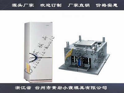 中国注塑模具公司冰柜模具精品高端模具