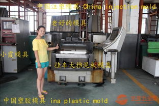 2010新款格栅模具 沈阳注塑模具的创新与应用